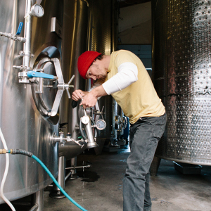 Cidermaking